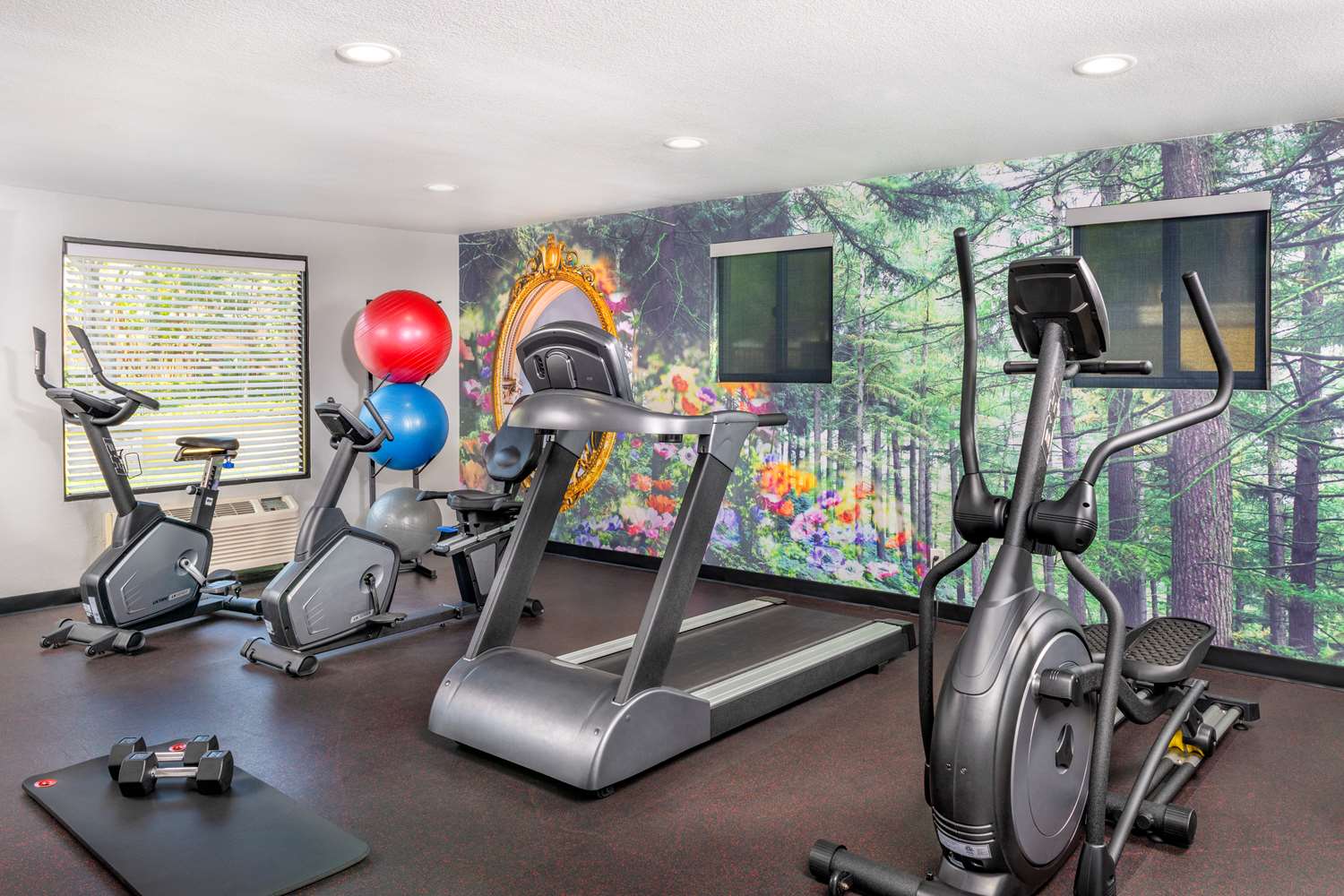 Best Western Plus Raffles Inn & Suites 19/34
