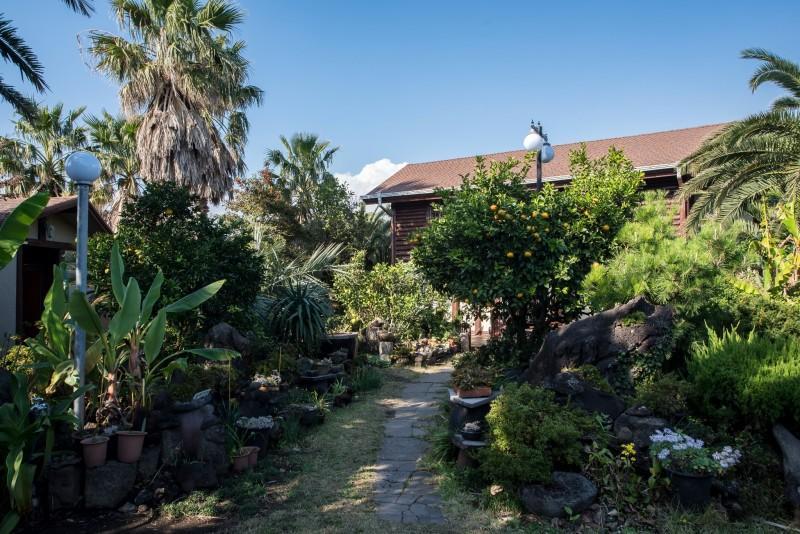 Seogwipo Log House Pension 11/16
