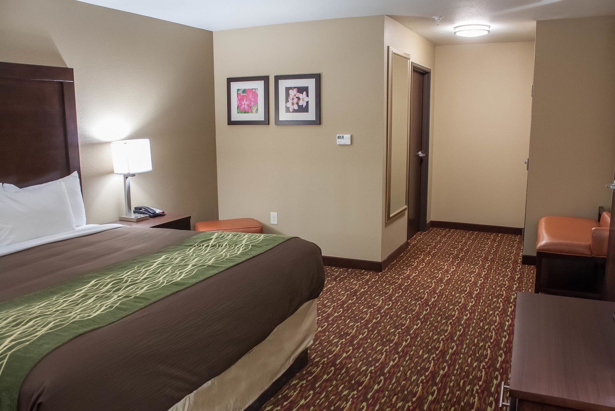 جناح بسرير كينج مع أريكة