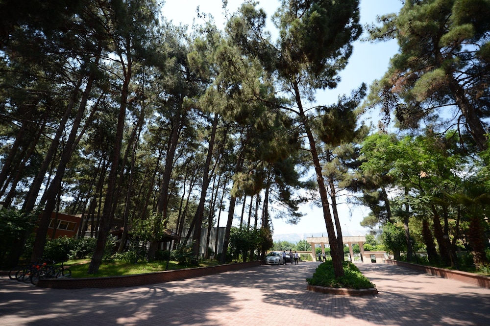ARSAN OTEL 36/37