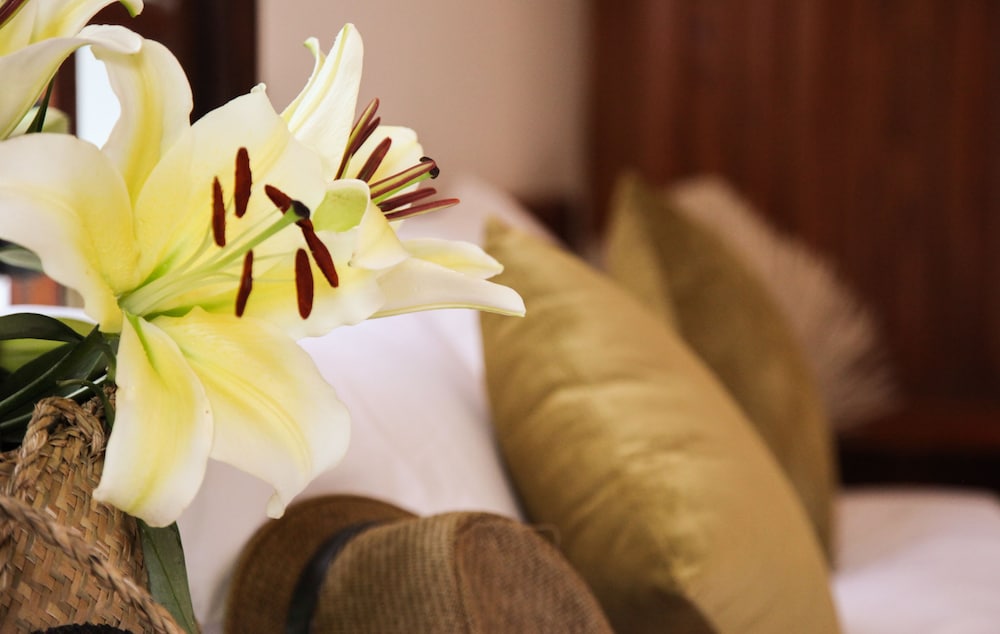 Charming Homestay photo3