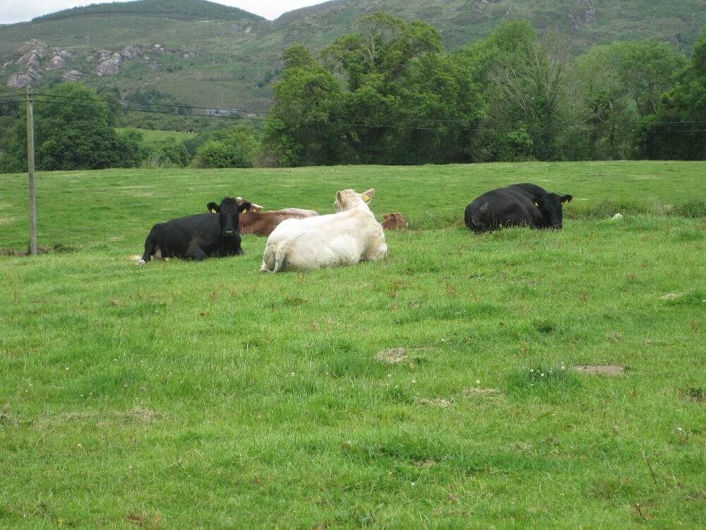 White Heather Farm B B 13/24