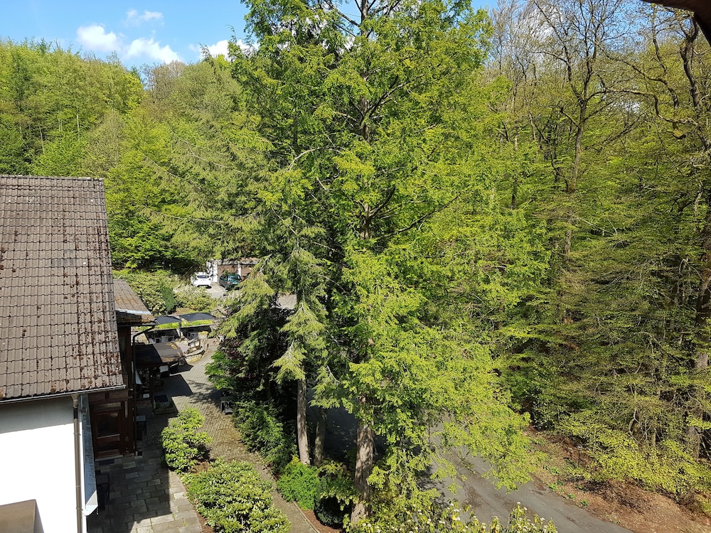 Siegerland Hotel Haus im Walde 29/36