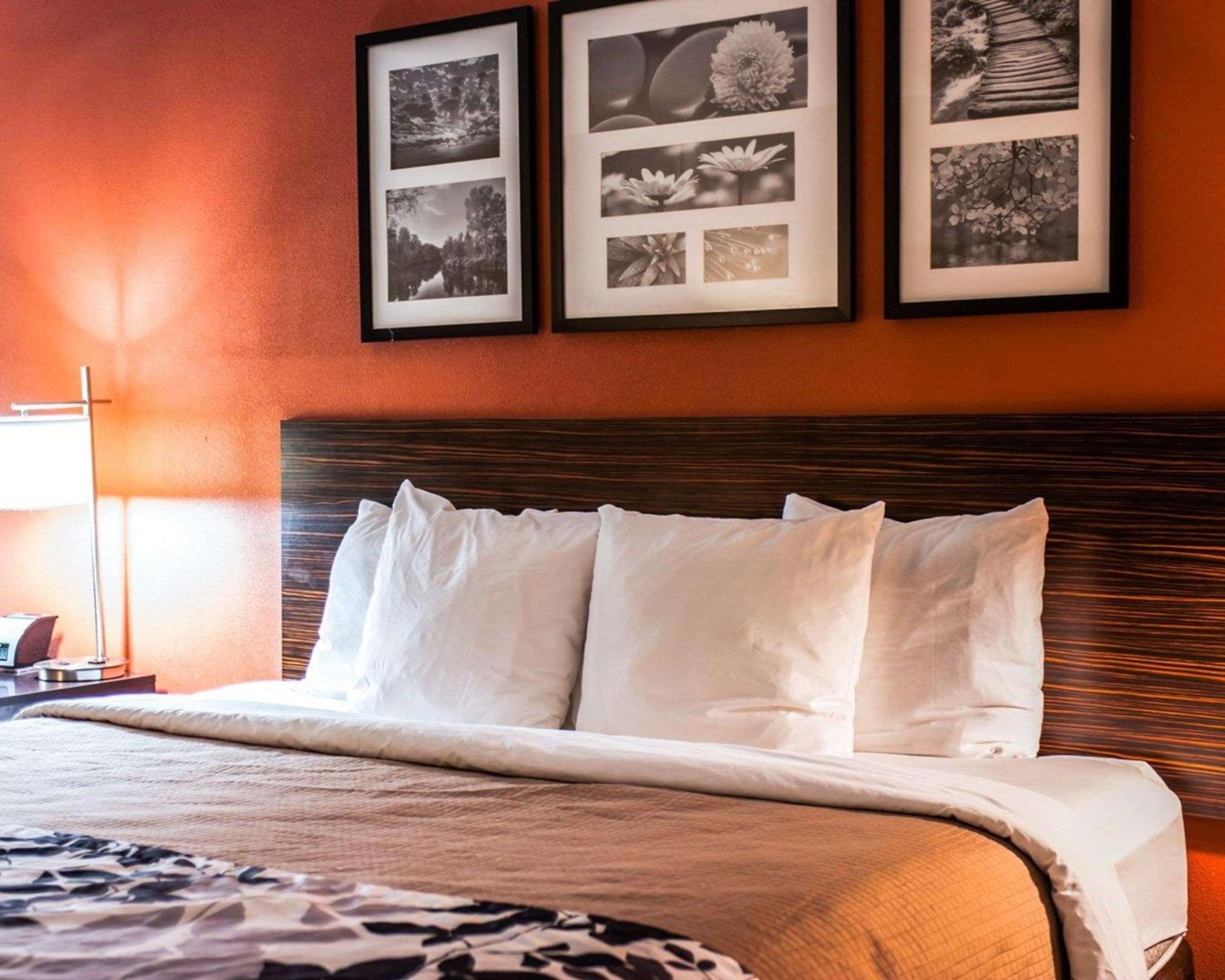 Efficiency, King Bed, Accessible