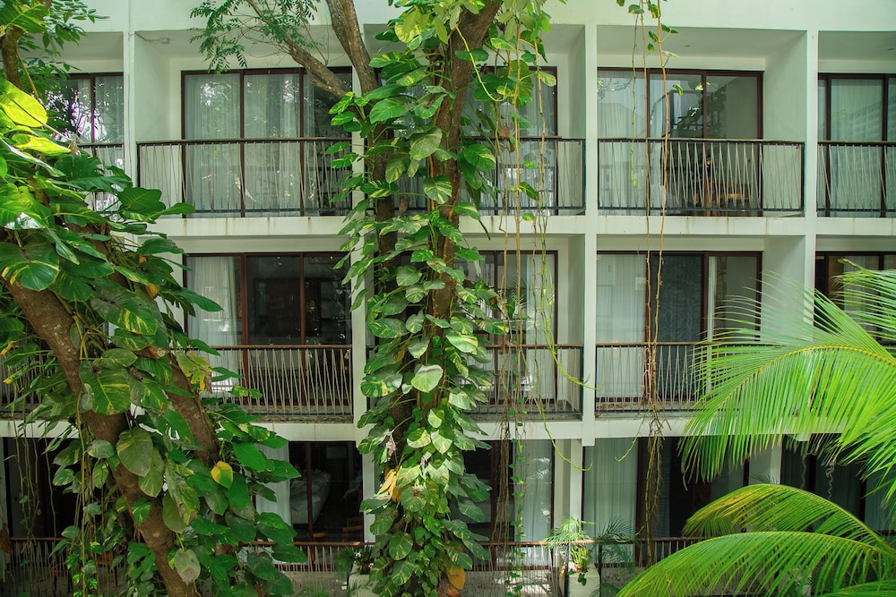 Hotel Blanco Tulum - Adults Only 5/50