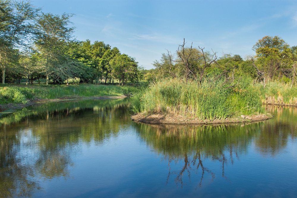 Aha Sefapane Lodges And Safaris 41/50