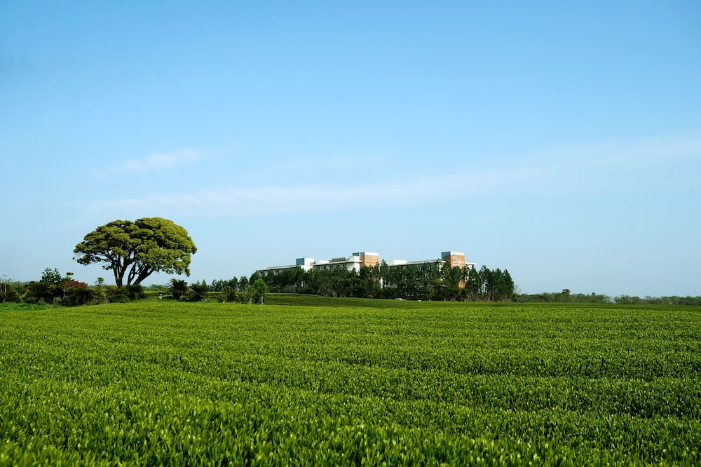 Jeju Aerospace Hotel 37/39
