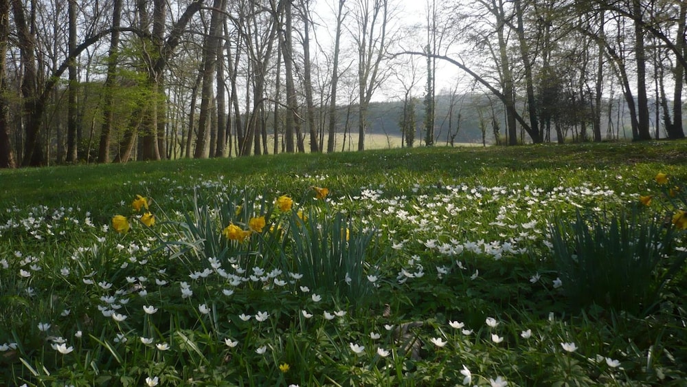 Domaine de Chatenay 25/42