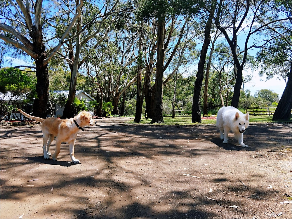 TWELVE APOSTLES MOTEL & COUNTRY RETREAT 40/50