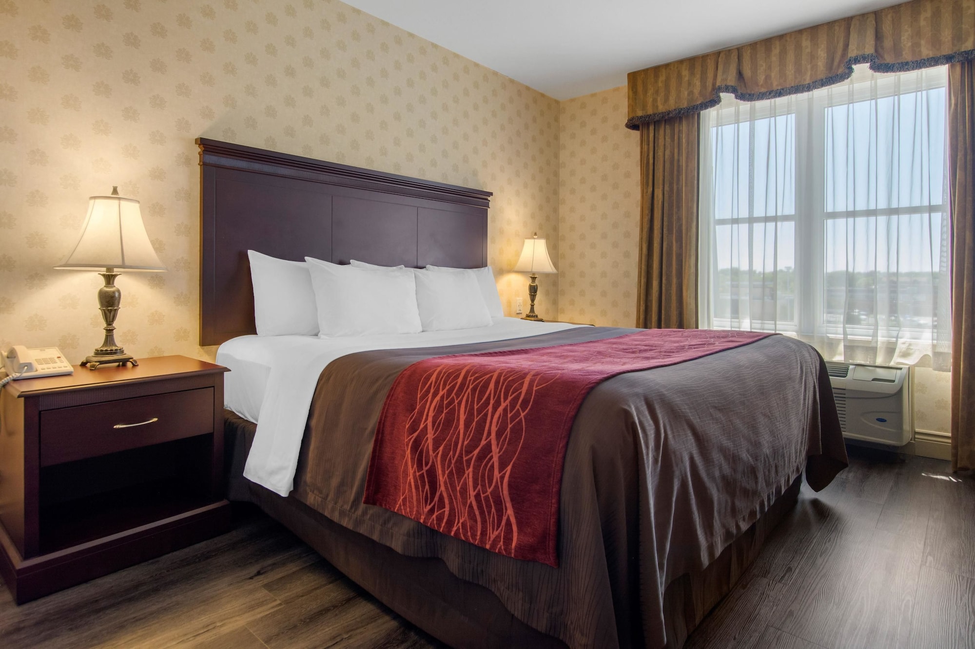 Suite, King Bed, Sofa