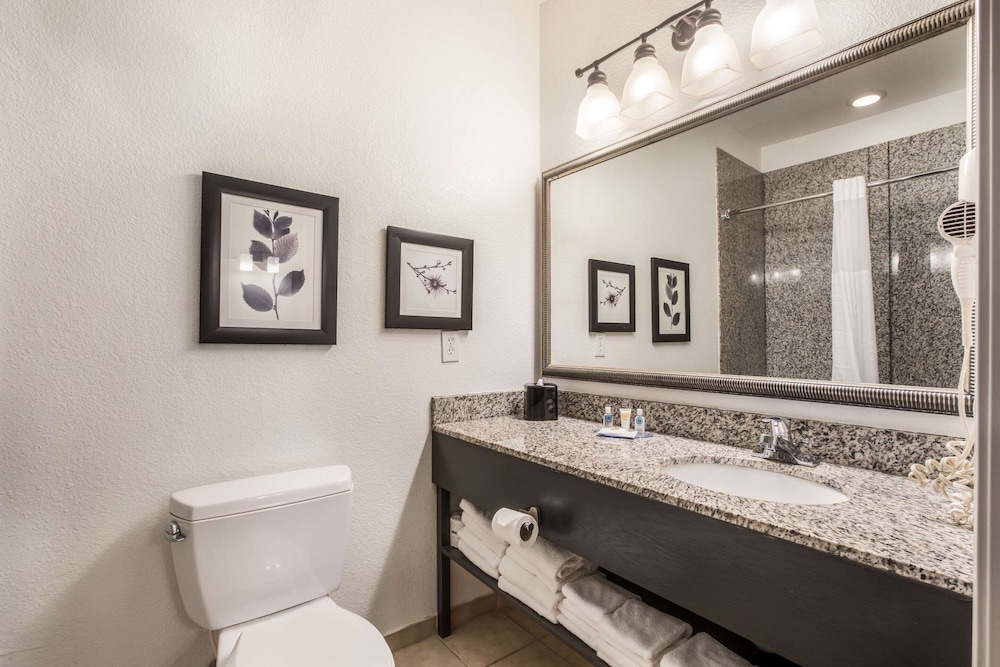 Comfort Inn & Suites Fairburn - Atlanta Southwest 45/45