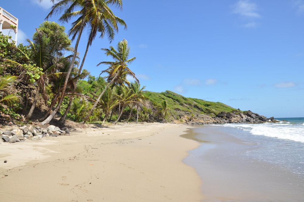 Petite Anse Hotel 39/49