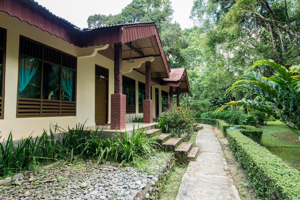 Ecolodge Bukit Lawang 8/58