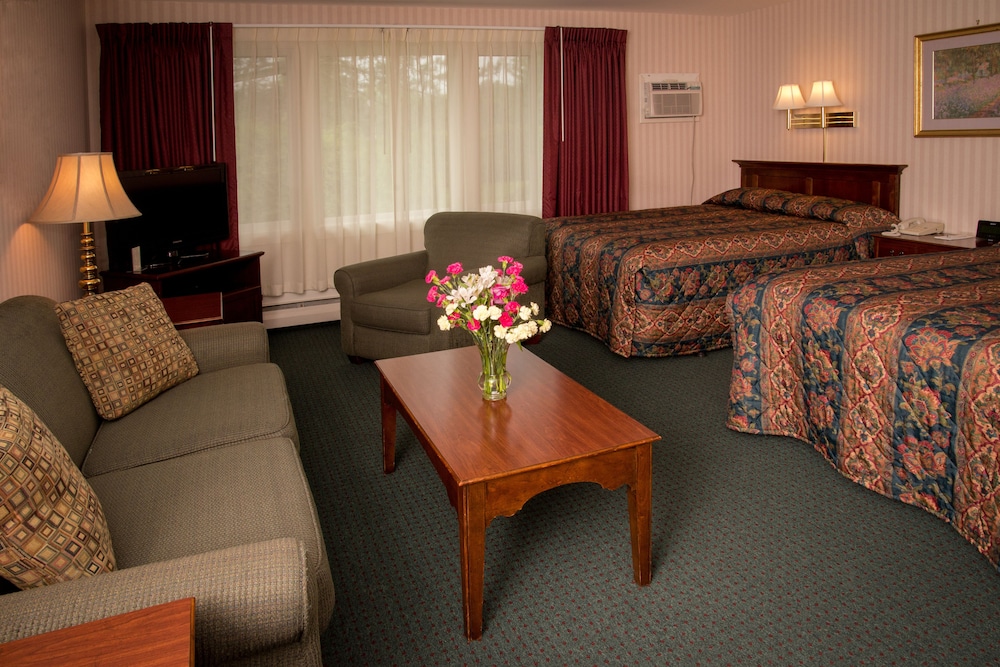Stowe Motel Snowdrift 51/65
