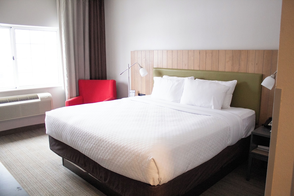 Room, King Bed, Accessible