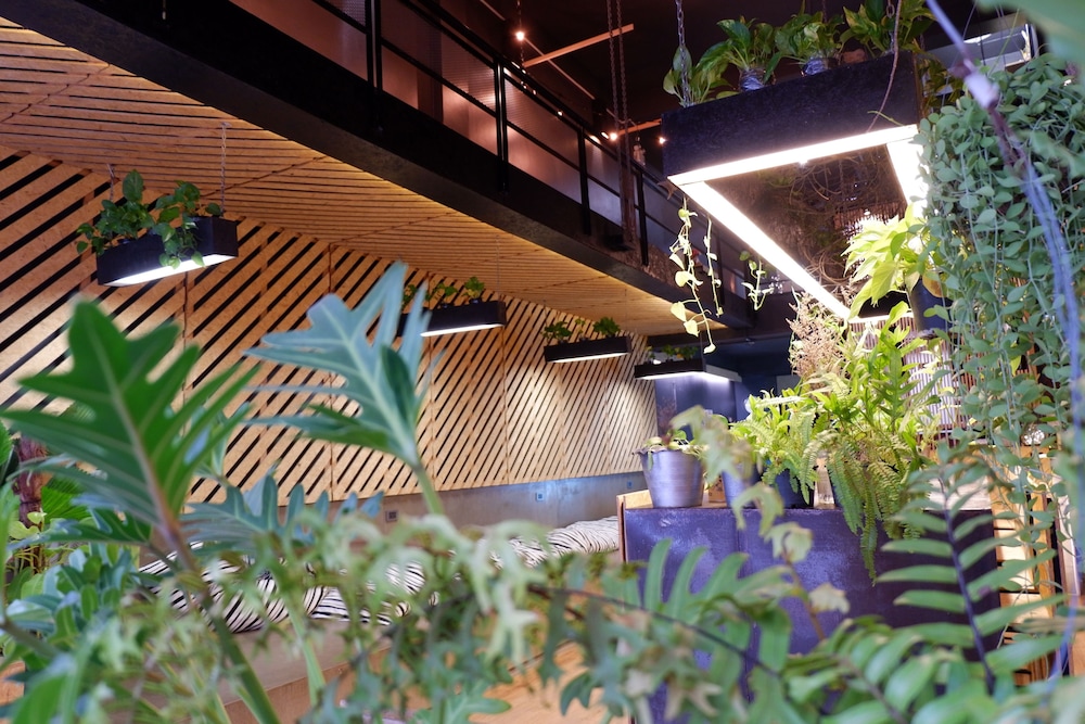 Hugger Hostel 4/58