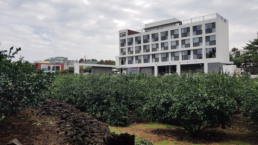 Hotel Stay Interview Jeju 6/50