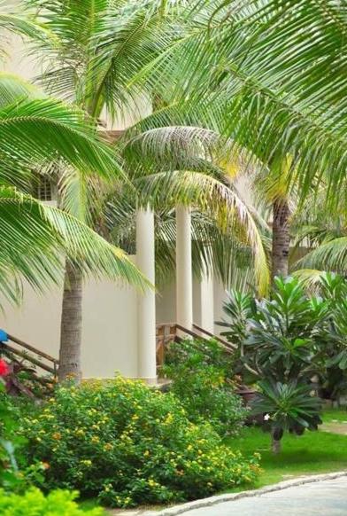Ocean Star Resort 28/41