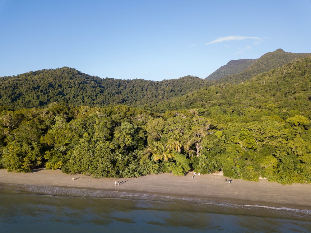 Cape Tribulation Beach House 54/65