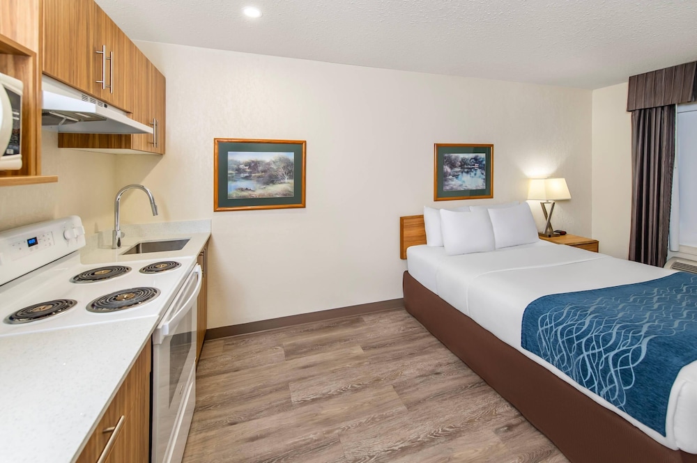 Upgrade, Efficiency, Suite, Queen Bed