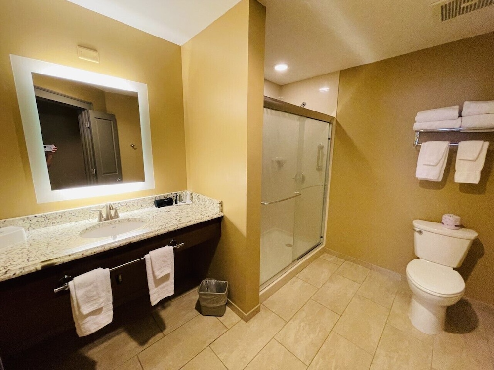 Greenville Inn Suites 37/67