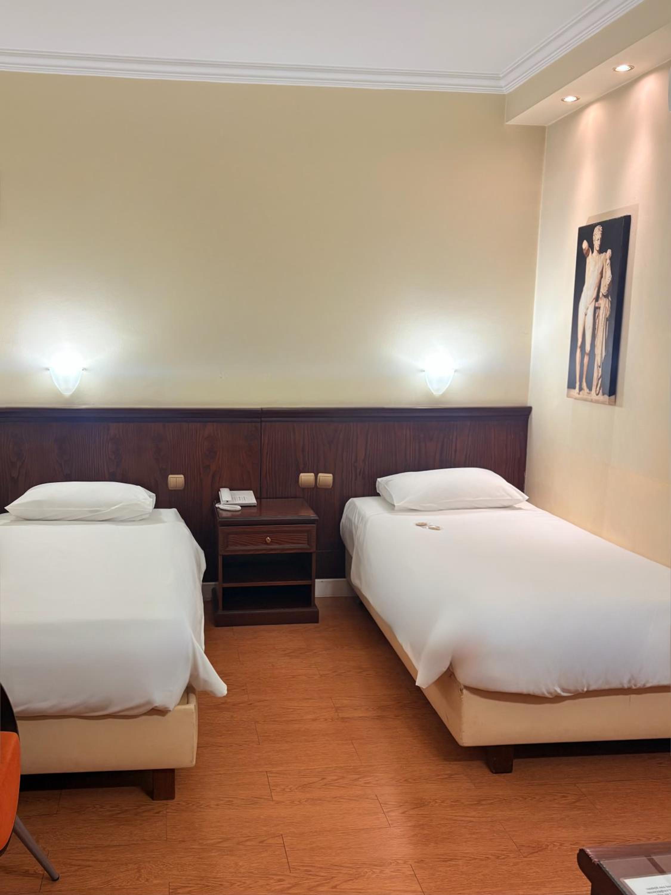 غرفة قياسية بسريرين منفصلين لذوي الإعاقة، Capsis Hotel Thessaloniki 2/2