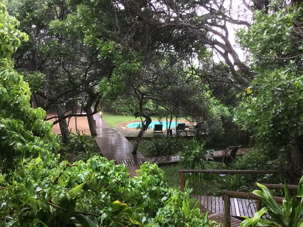 Thonga Beach Lodge 44/50