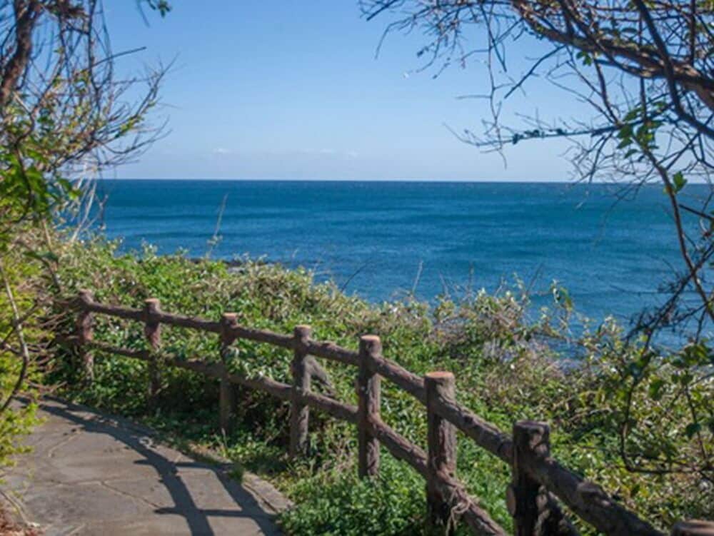 Jeju Bada Walking Pension 12/19
