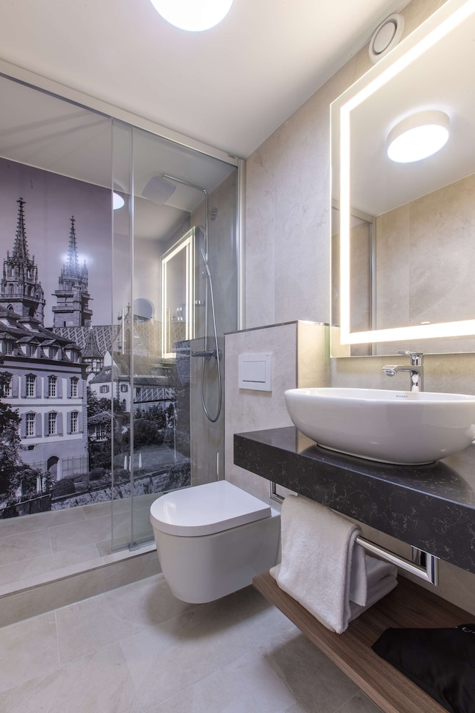RADISSON BLU HOTEL BASEL 74/74