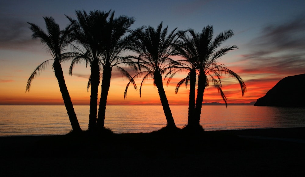 Sol Los Fenicios Hotel - Adults Only 23/51
