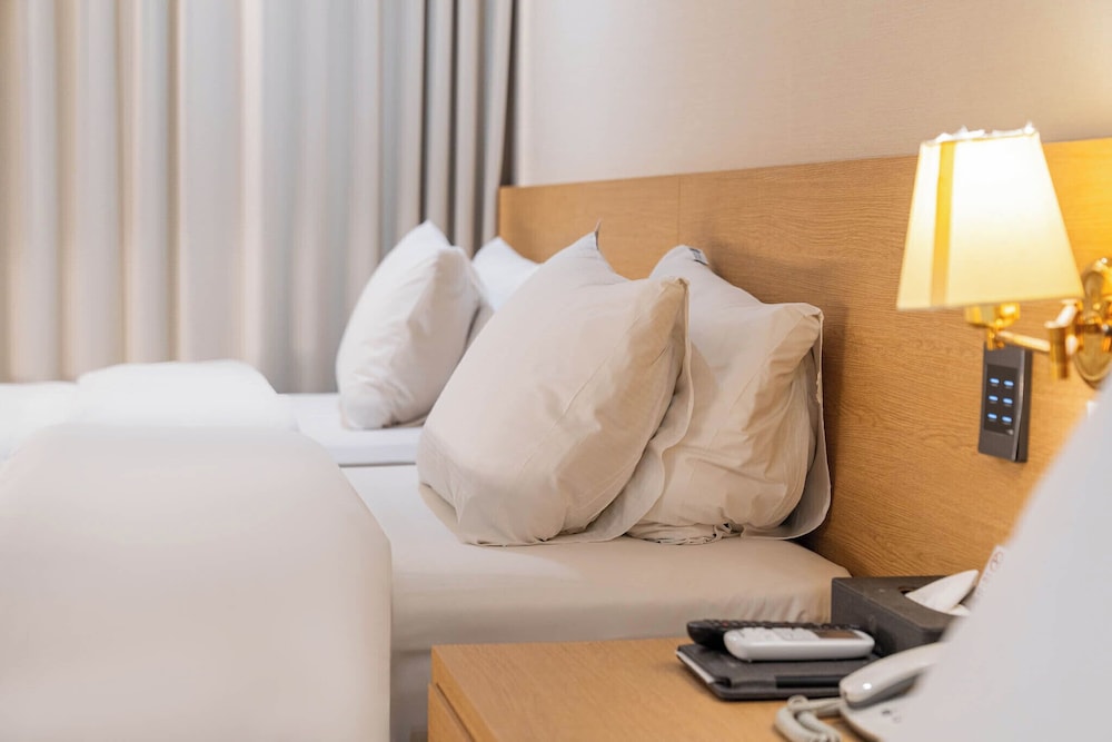 Benikea Hotel Bizinn (ex Hotel Bizinn) 19/50