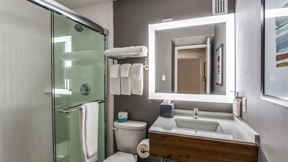 Staybridge Suites Dallas Market Ctr Love Field, an IHG Hotel 49/50