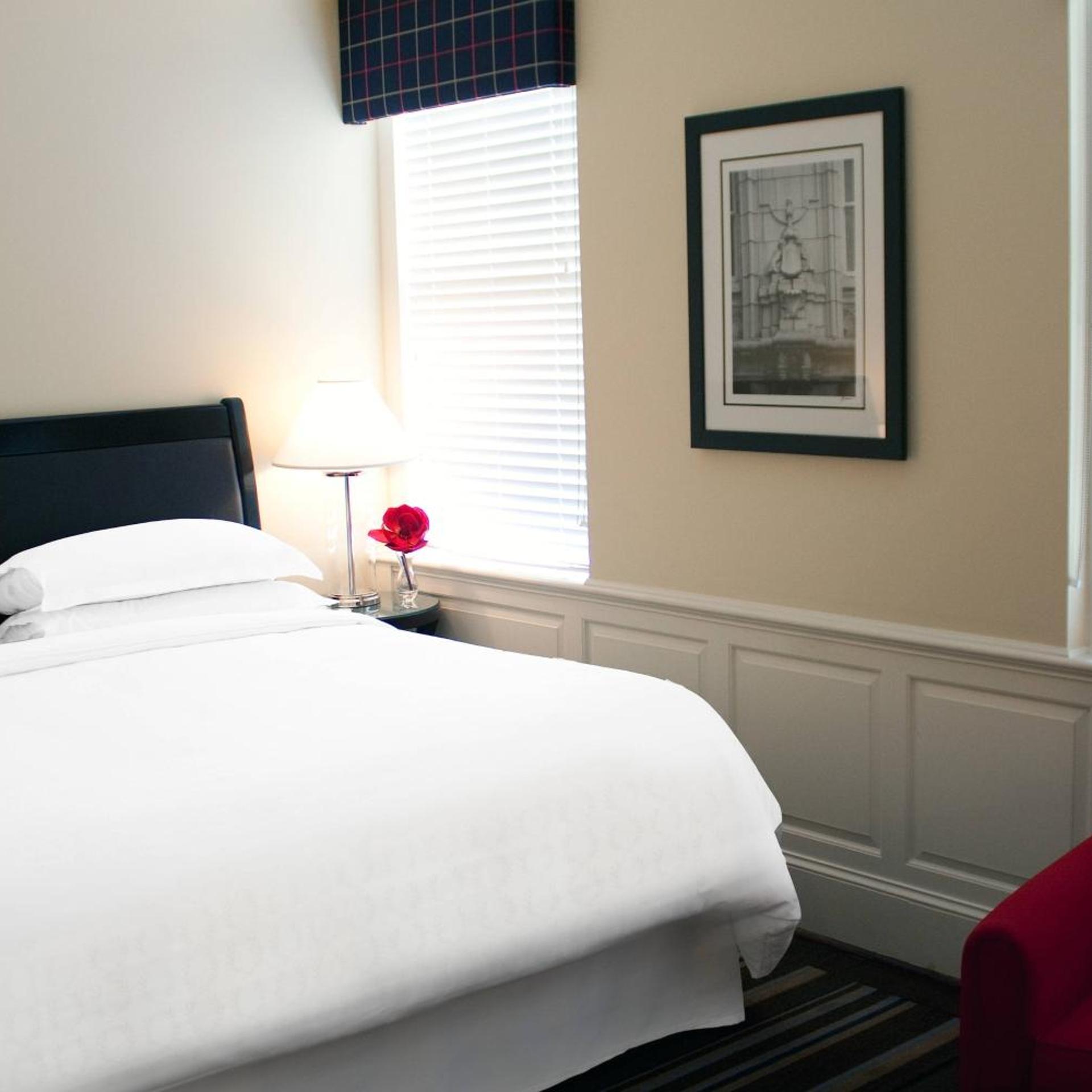 Guest Room 1 King