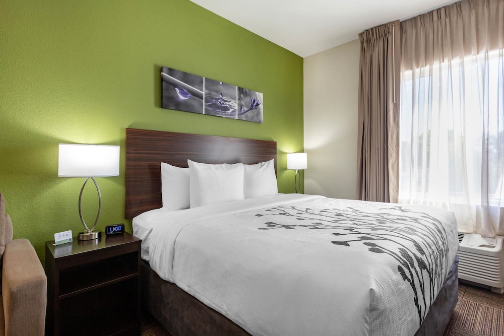 Sleep Inn & Suites Tampa South 23/42