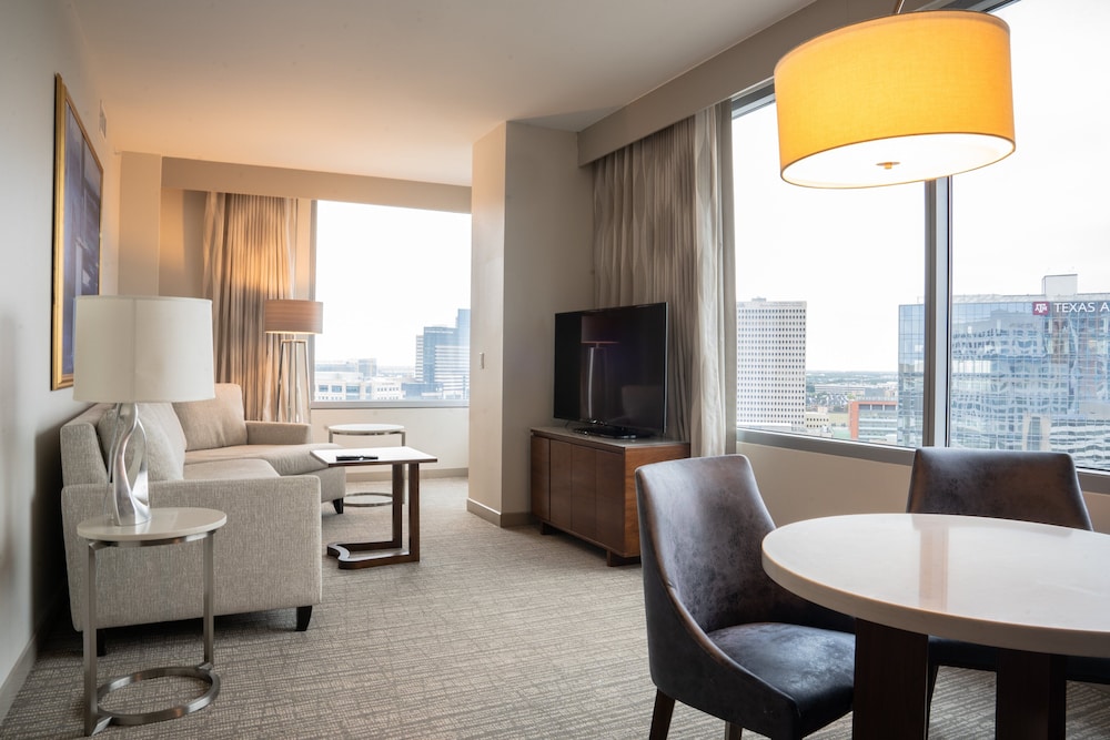 Intercontinental Hotels Houston Medical Center 44/81