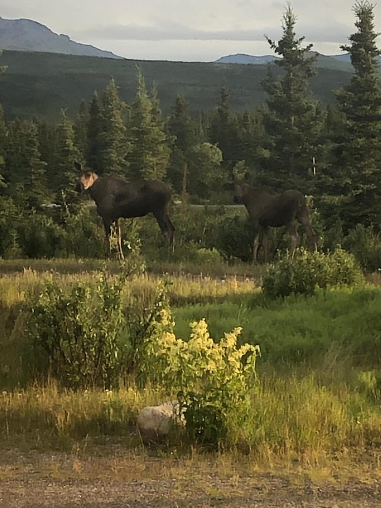 Denali Park Hotel 22/35