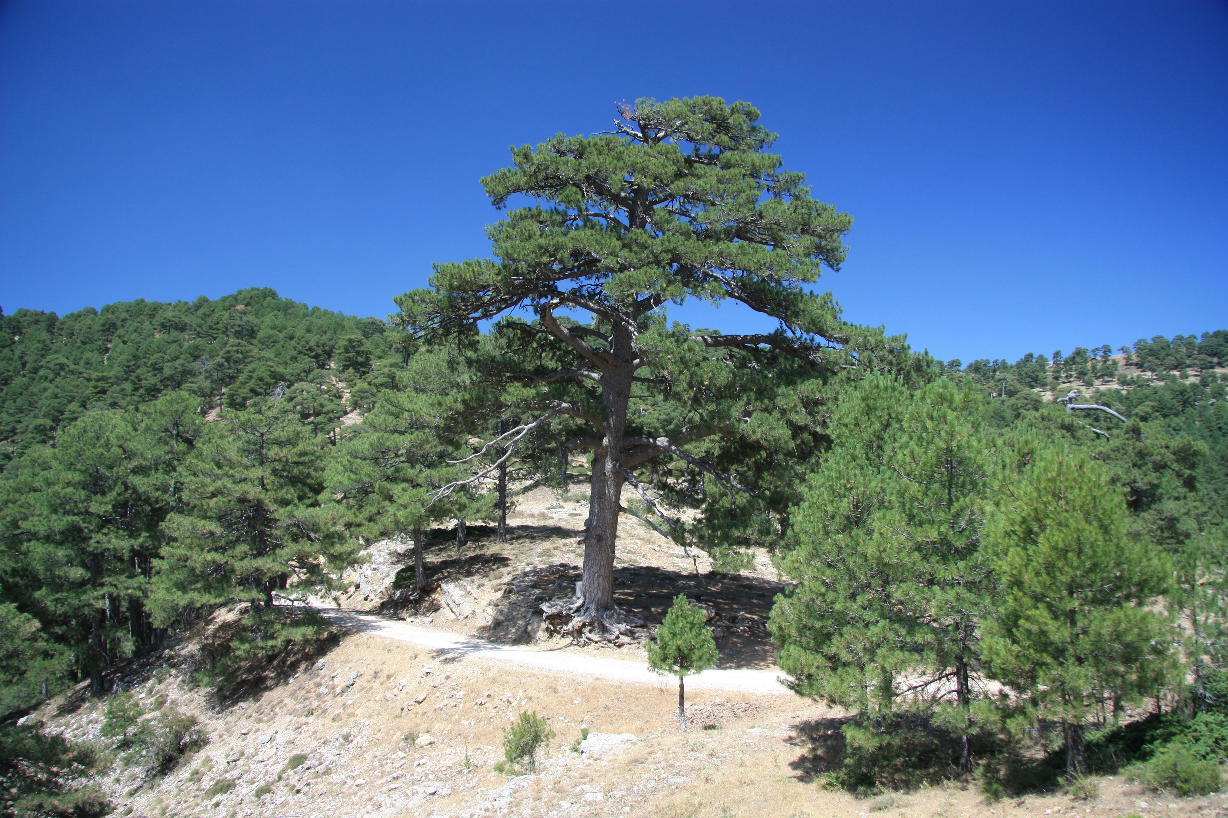 Campillo Apartamentos Rurales 19/31