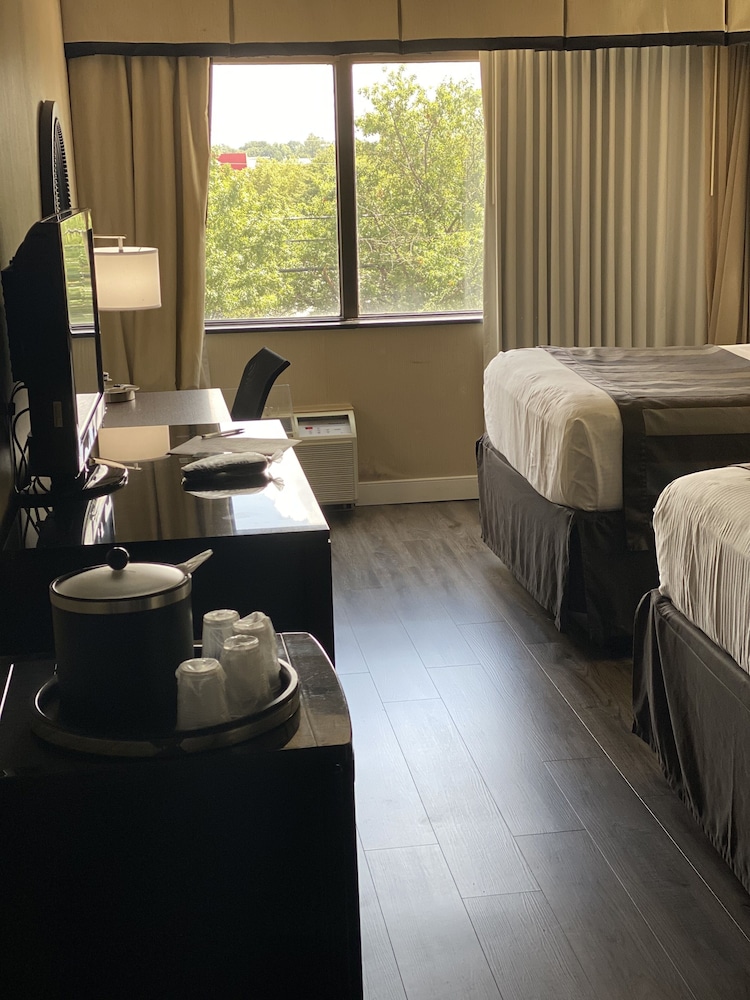 Wingate by Wyndham Springfield 21/60