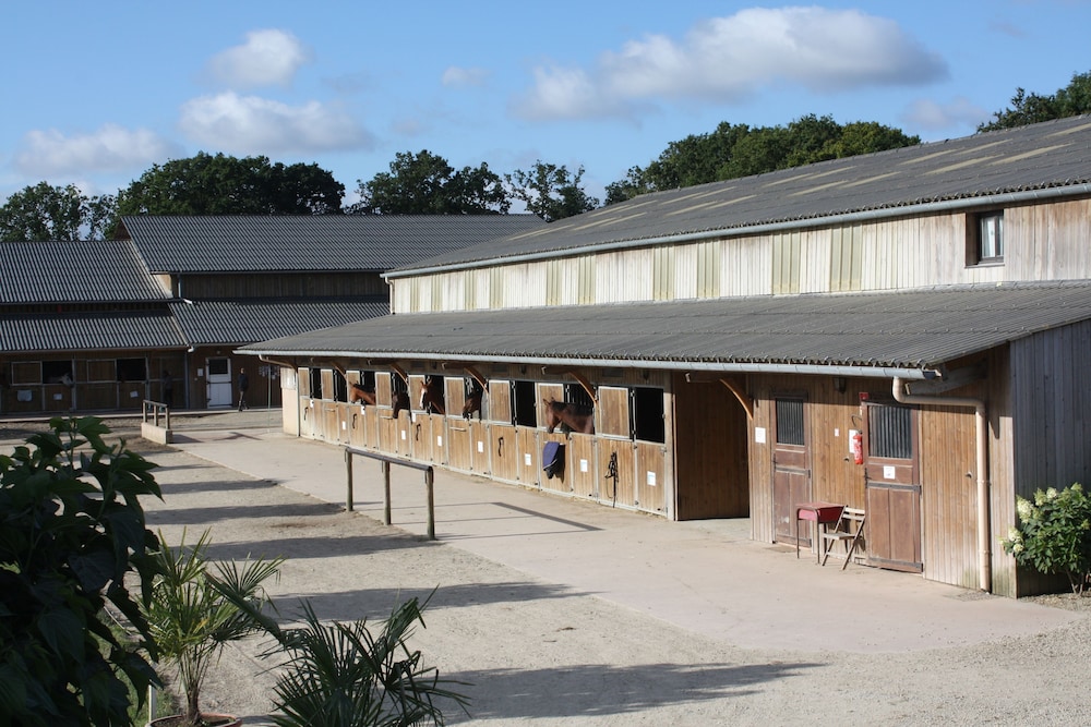 Domaine Des Ormes 7/51