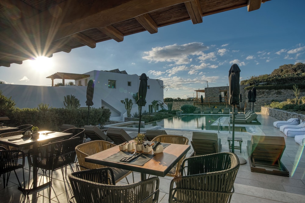 Mykonos Cactus 25/50