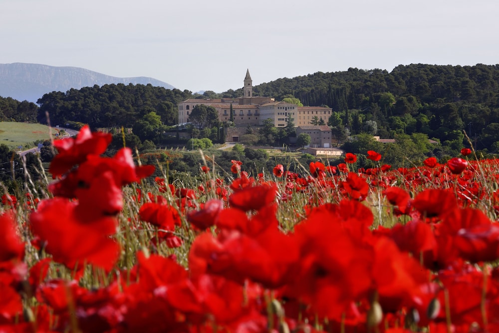 Monestir de les Avellanes 57/68
