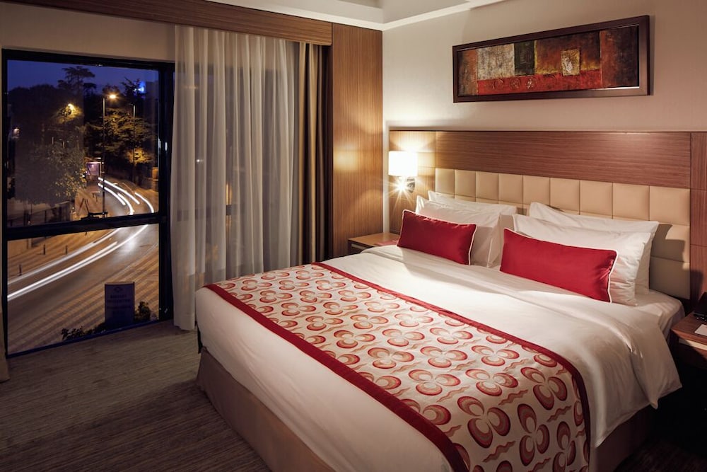 Hotel Mercure Istanbul Altunizade 26/67