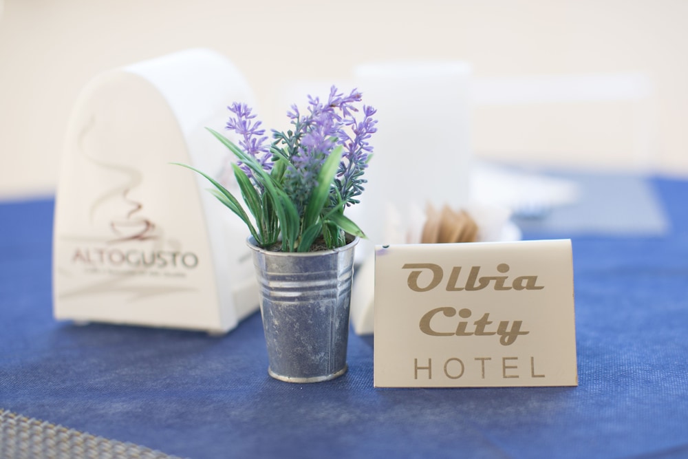 Olbia城市酒店(Olbia City Hotel) 图片3