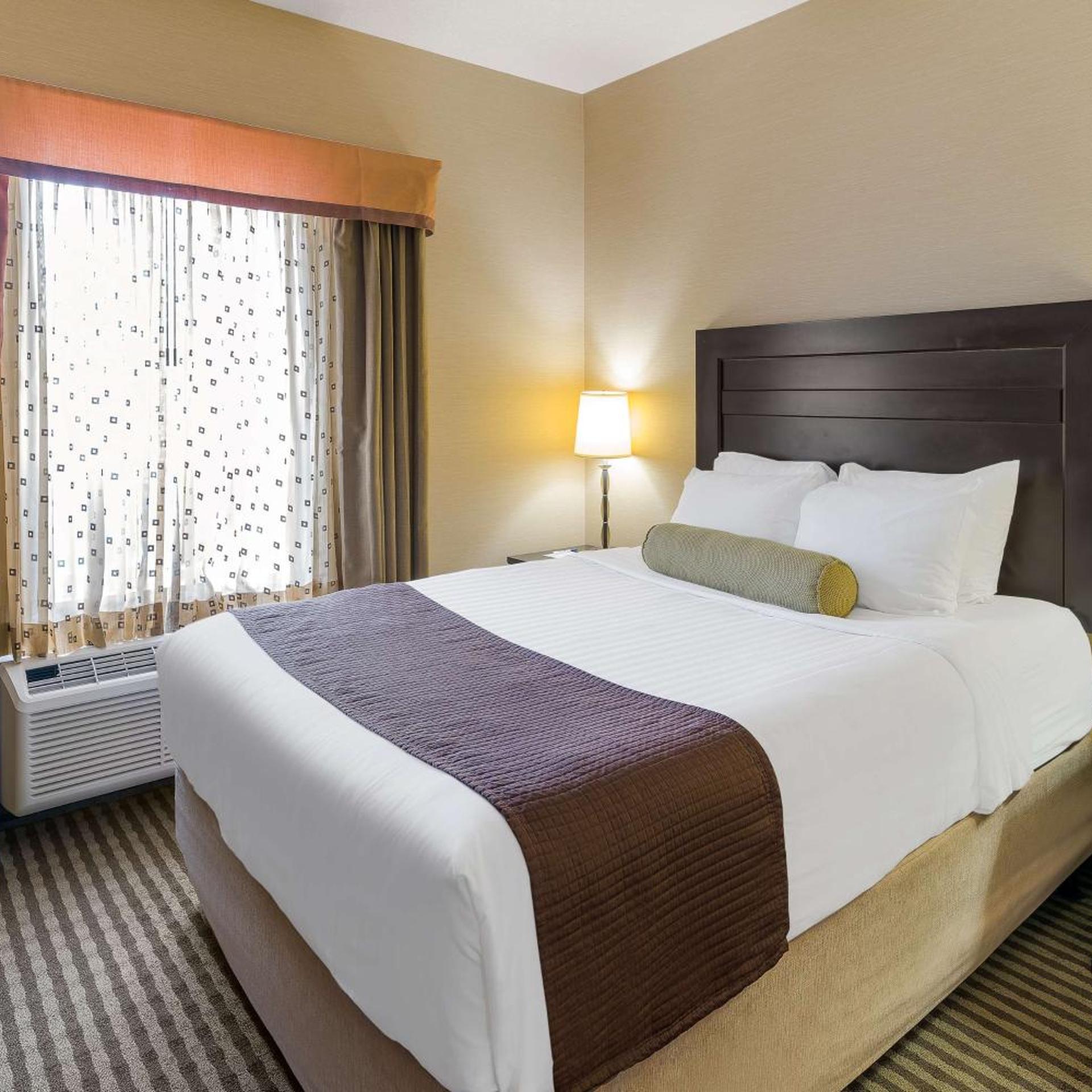 Suite, King Bed, Queen Bed