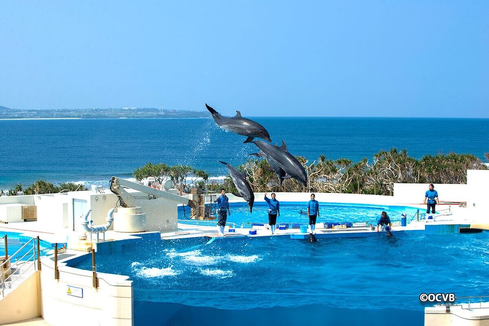 Wisteria Condominium Resort 42/50