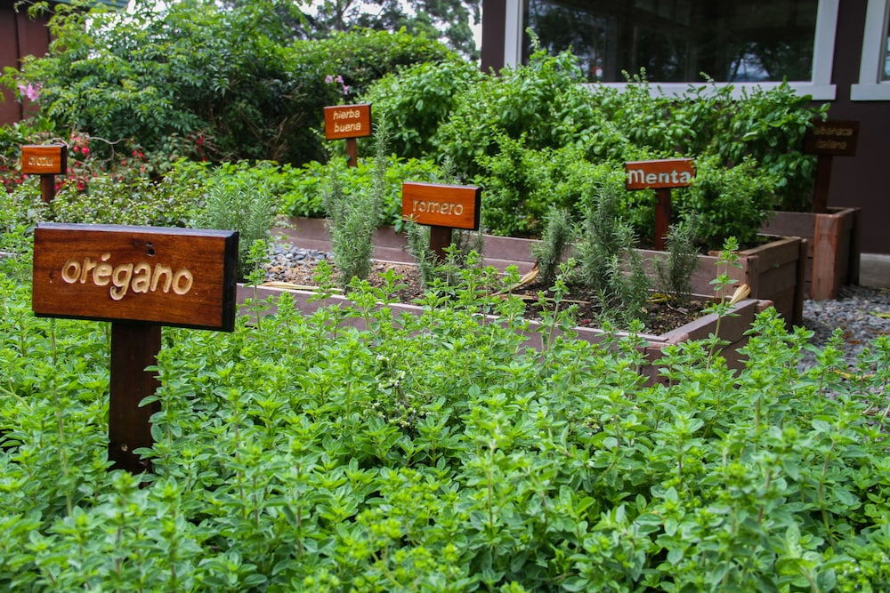 Finca Lerida Hotel 65/74