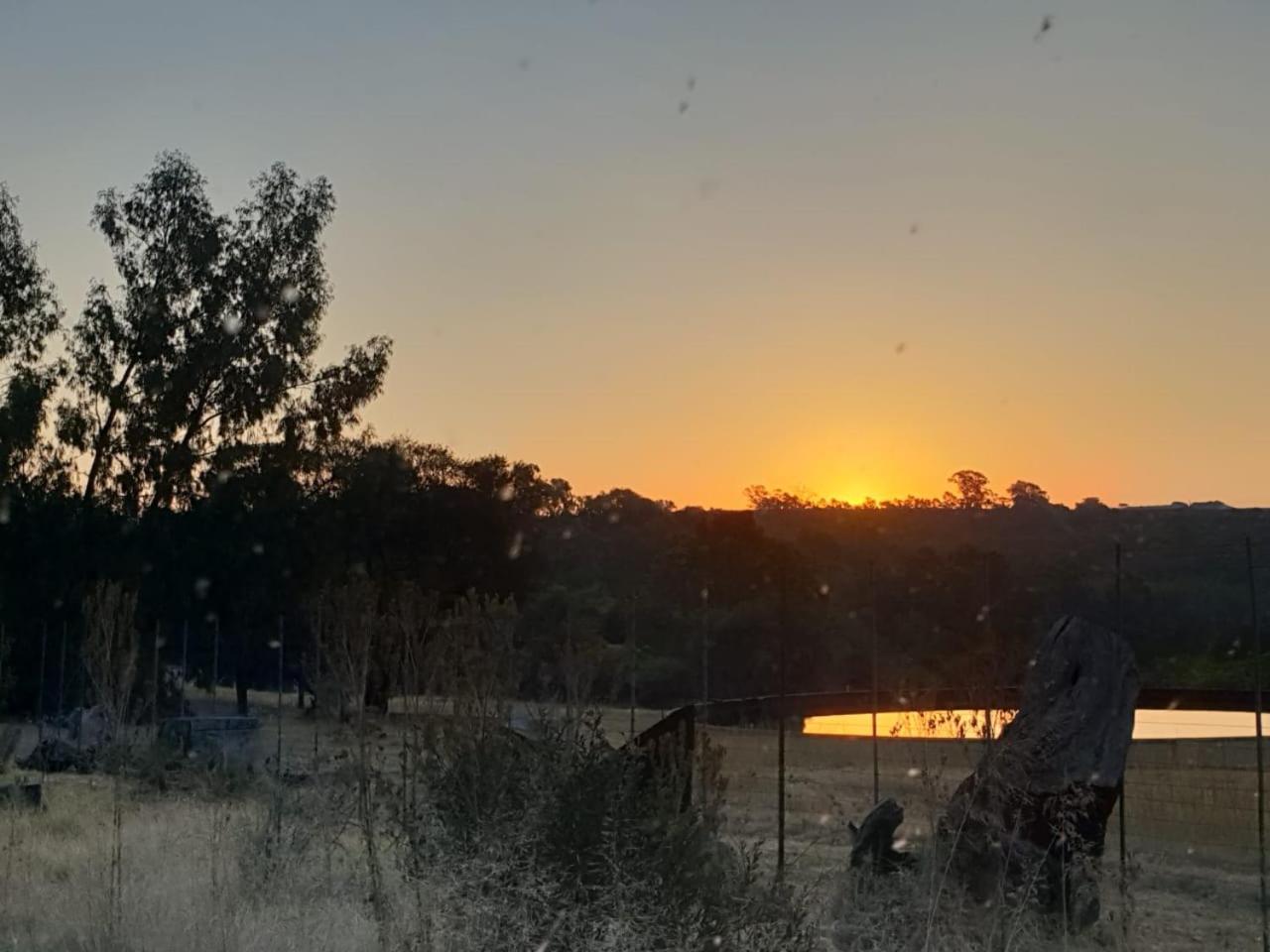 Milorho Lodge 29/50