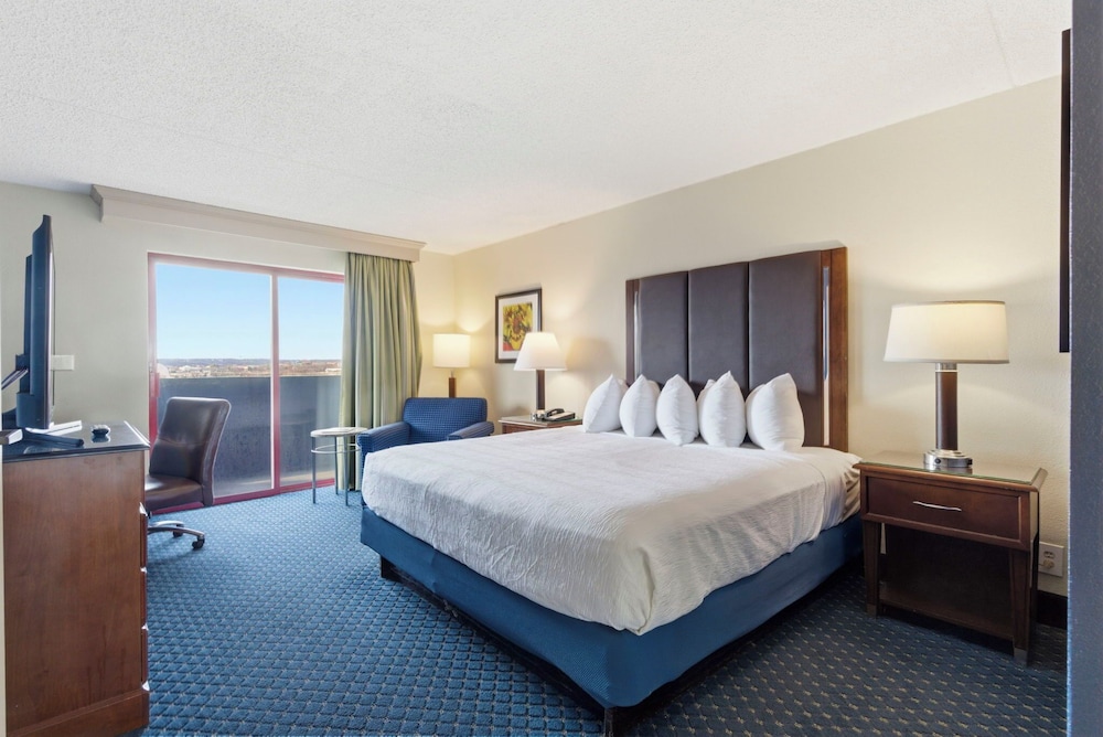 SUITE, KING BED