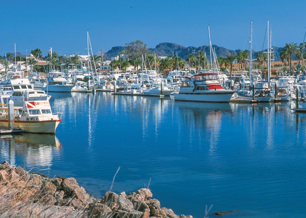 Sea Of Cortez Beach Club 66/72
