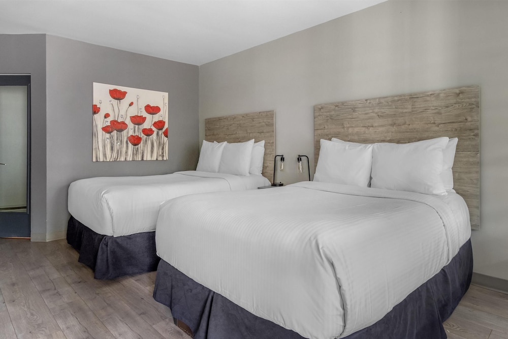 Standard, 2 Double Beds